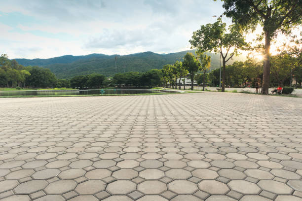 Best Residential Driveway Paving in Union City, CA